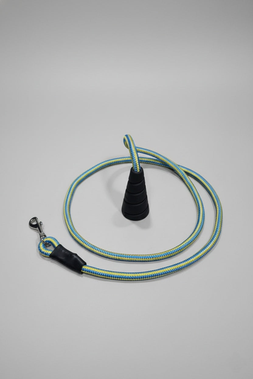 Ergonomic Rope Leash For Dog - Blue Yellow - 5 ft
