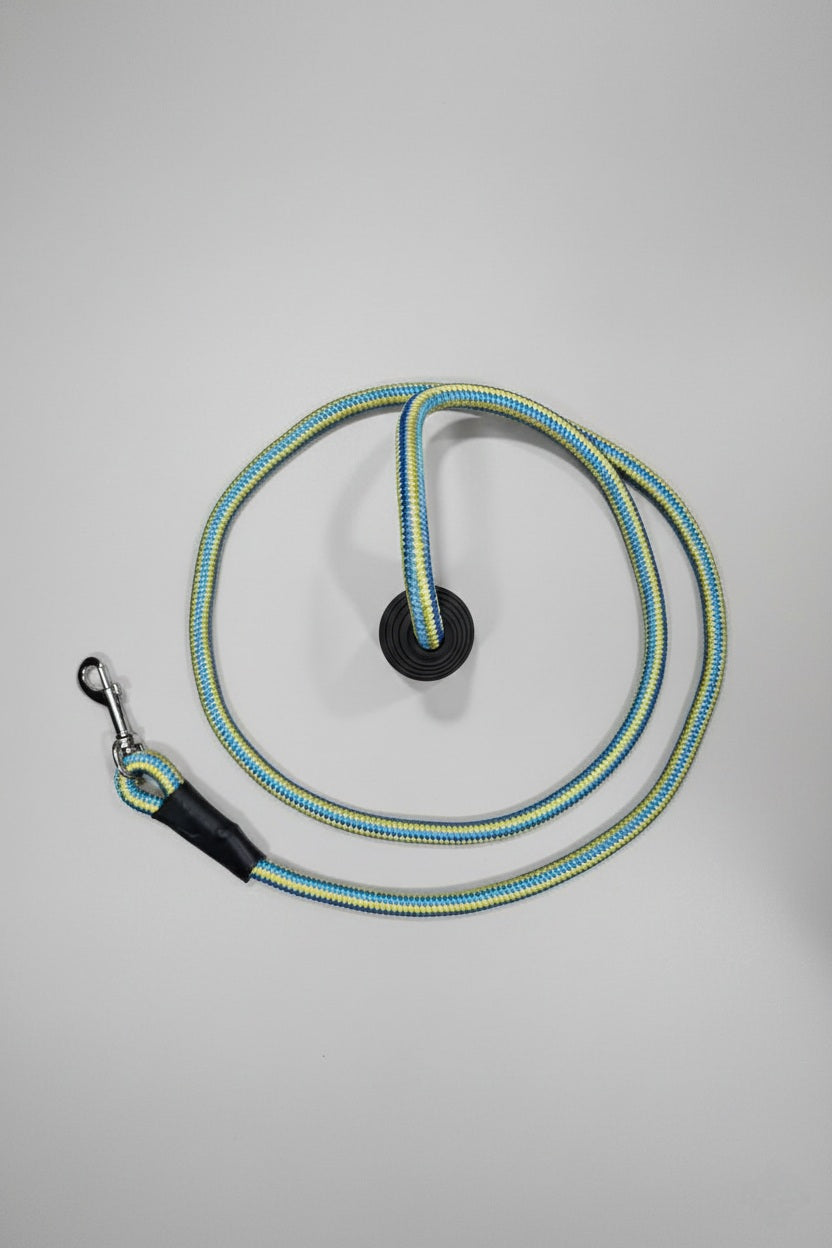 Ergonomic Rope Leash For Dog - Blue Yellow - 5 ft