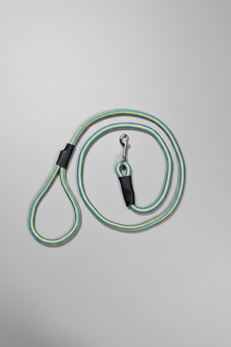 Rope Leash For Dog - Blue Yellow - 5 ft