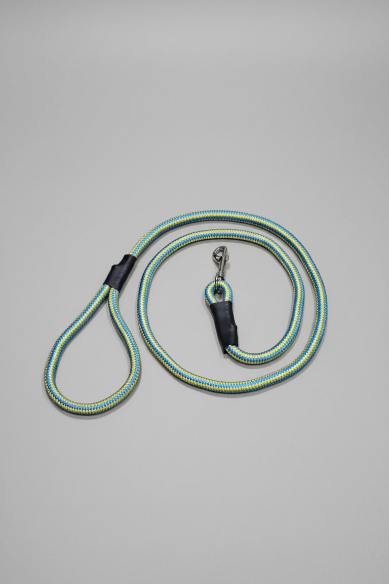 Rope Leash For Dog - Blue Yellow - 5 ft