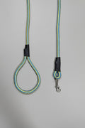 Rope Leash For Dog - Blue Yellow - 5 ft
