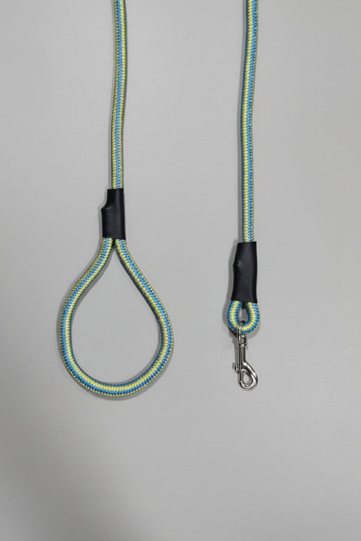 Rope Leash For Dog - Blue Yellow - 5 ft