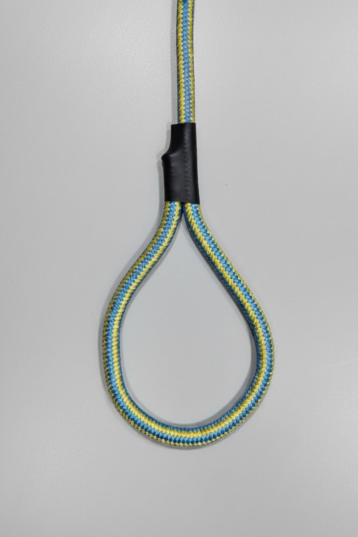 Rope Leash For Dog - Blue Yellow - 5 ft