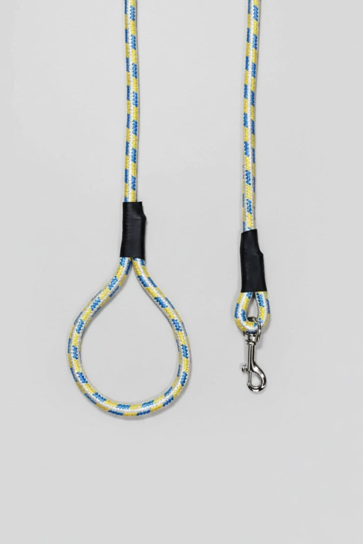 Rope Leash For Dog - Tri Color Blue Yellow Off White - 5 ft