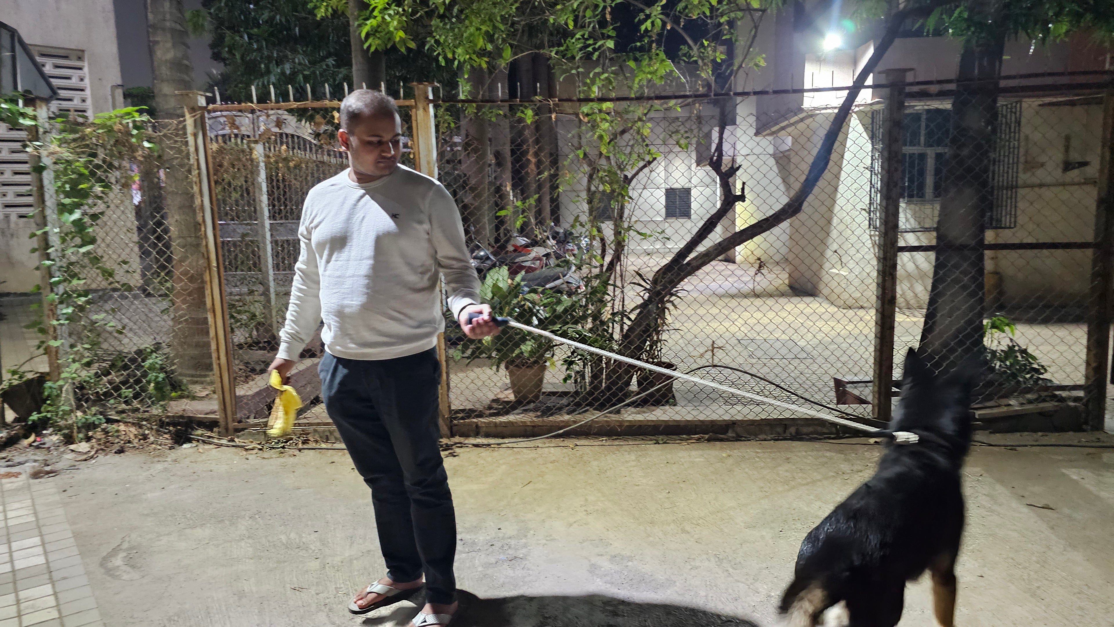 Ergonomic Rope Leash For Dog - Cotton white - 5 ft