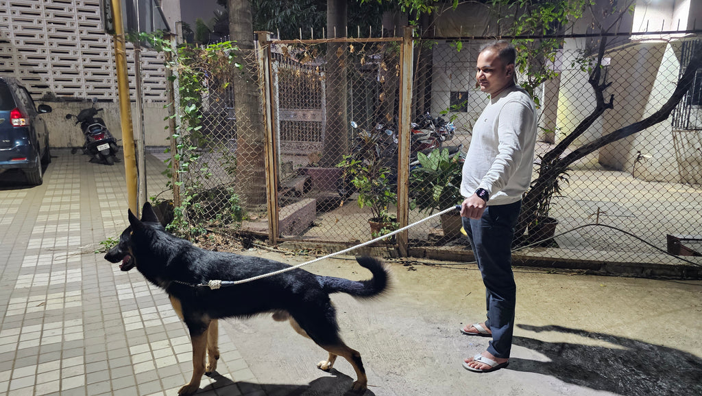 Ergonomic Rope Leash For Dog - Cotton white - 5 ft