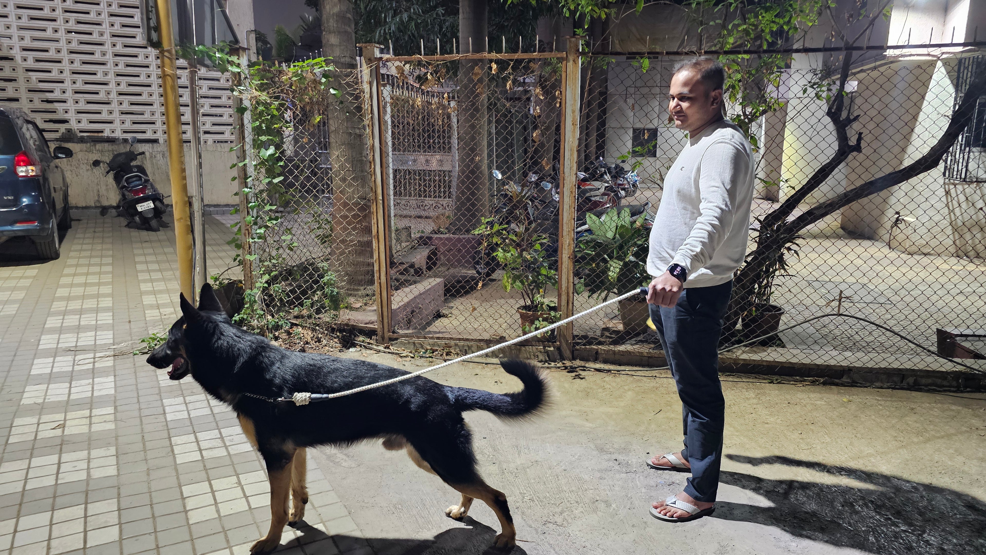 Ergonomic Rope Leash For Dog - Cotton white - 5 ft