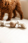Ivory Teak Wood Dog Play Toy