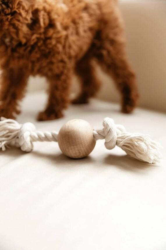 Ivory Teak Wood Dog Play Toy