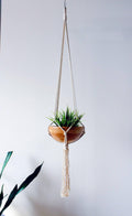 Plant Hanger