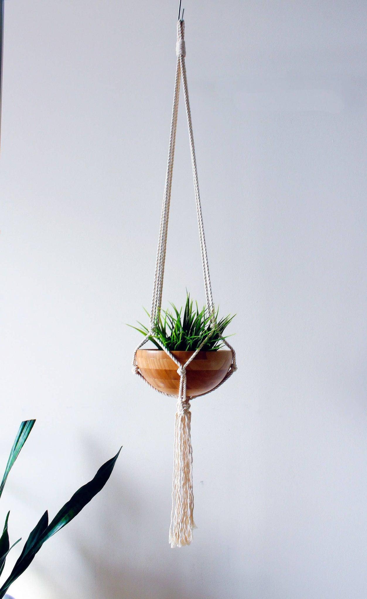 Plant Hanger